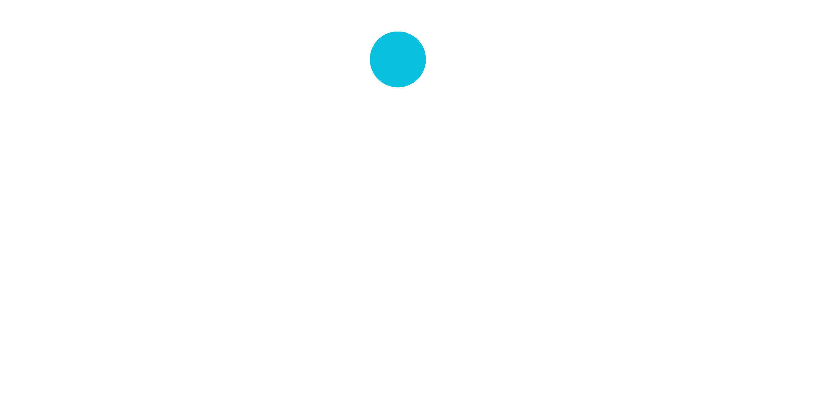 brinc final logo-white-blue-dot